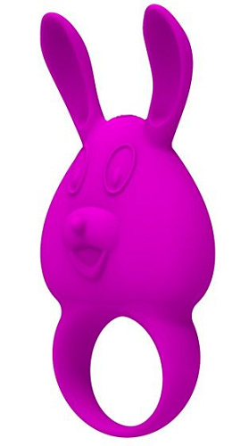 Фиолетовое перезаряжаемое эрекционное кольцо с вибрацией Baile BI-014335