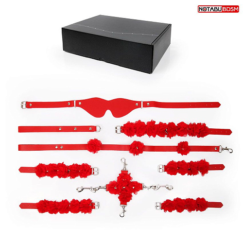 Стильный красный набор БДСМ в сумке Bior toys NTU-80623