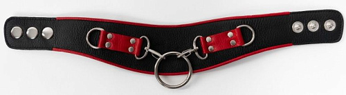 Чёрно-красный ошейник с колечками БДСМ арсенал 912-11 BX DD