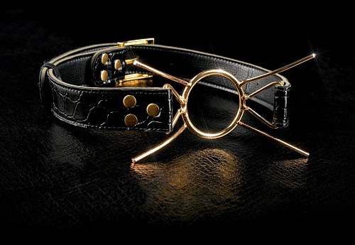 Золотистый расширитель для рта на чёрных ремешках Pipedream Gold Deluxe Spider Gag PD3995-27