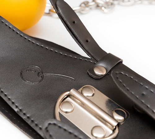 Кляп-шарик с поводком Пикантные штучки DP062