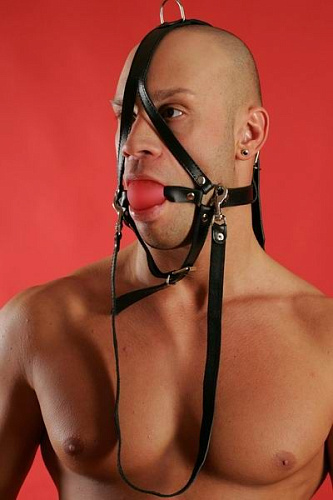 Чёрная сбруя с красным кляпом на поводке Подиум Р82