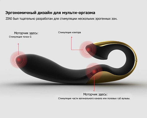 Фиолетовый вибратор ZINI ROAE ZV016