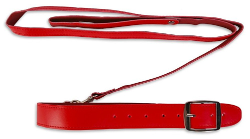 Красный ошейник с поводком Пикантные штучки DP087