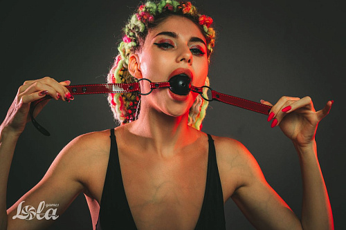 Чёрно-красный кляп-шарик Lola toys Love Bite 1153-01lola