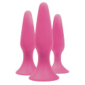 Набор из 3 розовых силиконовых анальных пробок NS Novelties Trainer Kit NSN-0508-00