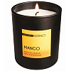 Ароматическая свеча с феромонами Парфюм престиж М Natural Instinct «Манго» (180 гр)