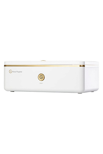 Бело-золотистый контейнер для обработки Rosa Rugosa Security Knight Q3