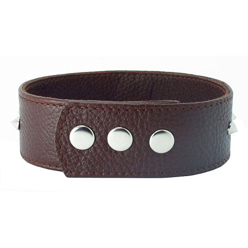 Коричневый кожаный ошейник с кольцом БДСМ арсенал 55015