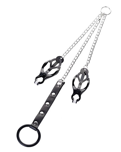 Чёрно-серебристые зажимы для сосков с кольцом для пениса ToyFa Metal 712050