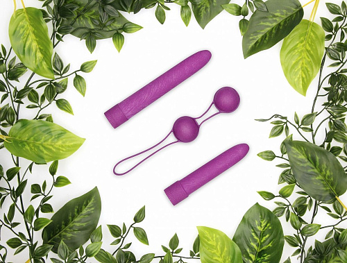 Фиолетовые вагинальные шарики со шнурком Shots Media BV Geisha NAT003PUR