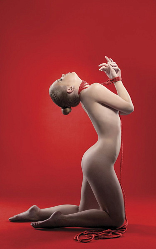 Красная веревка для бандажа Kinbaku - 10 м. Shots Media BV OU043RED