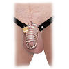 Стальное кольцо верности с фиксацией головки Pipedream Extreme Chastity Belt PD3669-23