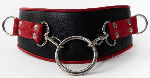 Чёрно-красный ошейник с колечками БДСМ арсенал 912-11 BX DD