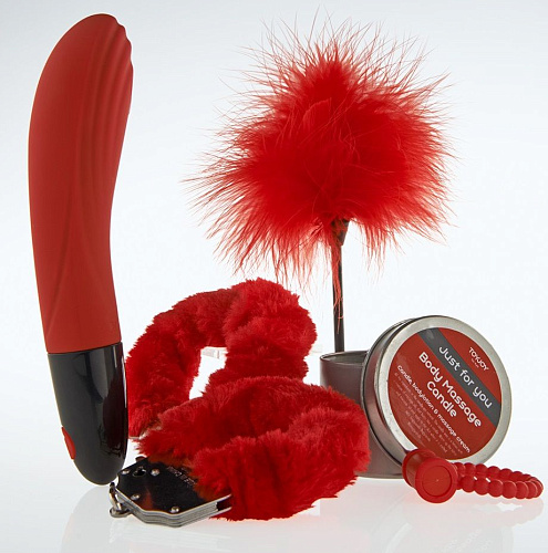 Красный секс-набор Toy Joy Luxe Box №4 3006010266