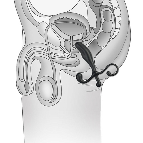 Массажёр простаты BlueLine BLM4006 (12,7 см)