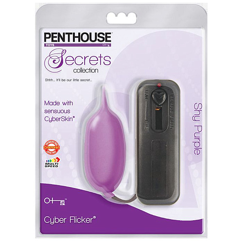 Фиолетовое виброяйцо Topco Sales Penthouse Secrets Cyber Flicker Shy Purple 1093236