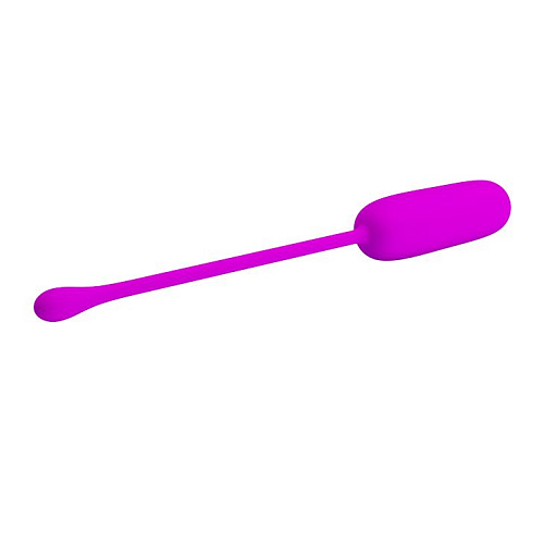 Лиловое перезаряжаемое виброяйцо Baile Joyce BI-014665