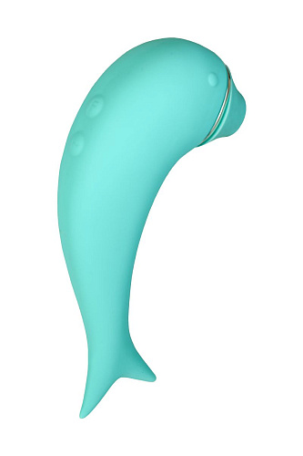 Бирюзовый вакуум-волновой стимулятор клитора с вибрацией ToyFa Dolphin 119002